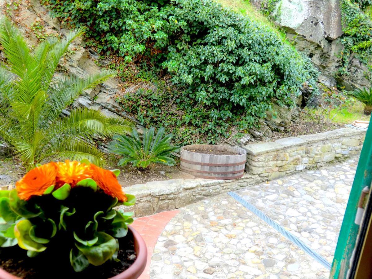 Ex-Mulino Pontevecchio Bed & Breakfast Pelago Exterior photo