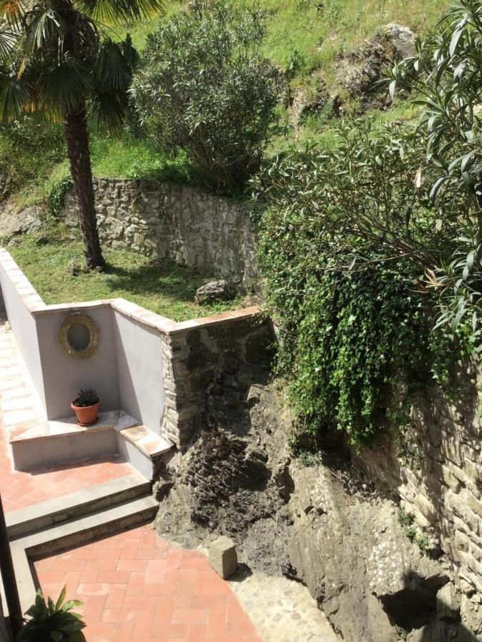 Ex-Mulino Pontevecchio Bed & Breakfast Pelago Exterior photo